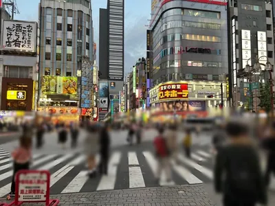 プラウディアへの道順 4／9：直進をすると「歌舞伎町」の交差点に出るので交差点を正面に渡ります。