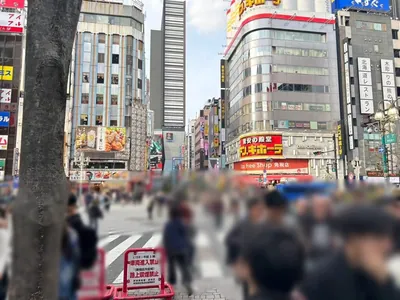 ノーブルへの道順 4／11：「歌舞伎町」の交差点に出たら横断歩道を正面にわたります。