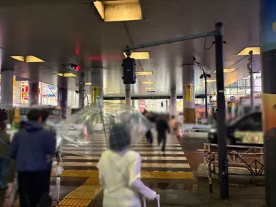 ビーフルへの道順 3／6：ガード下の横断歩道を渡ります。