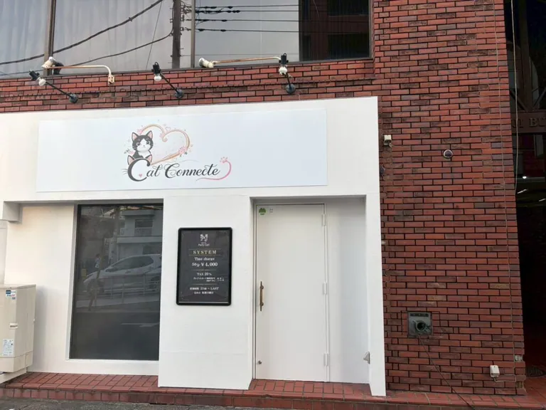 キャットコネクトの店内