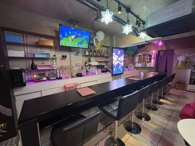 秋葉原　あんりみてっどの店内