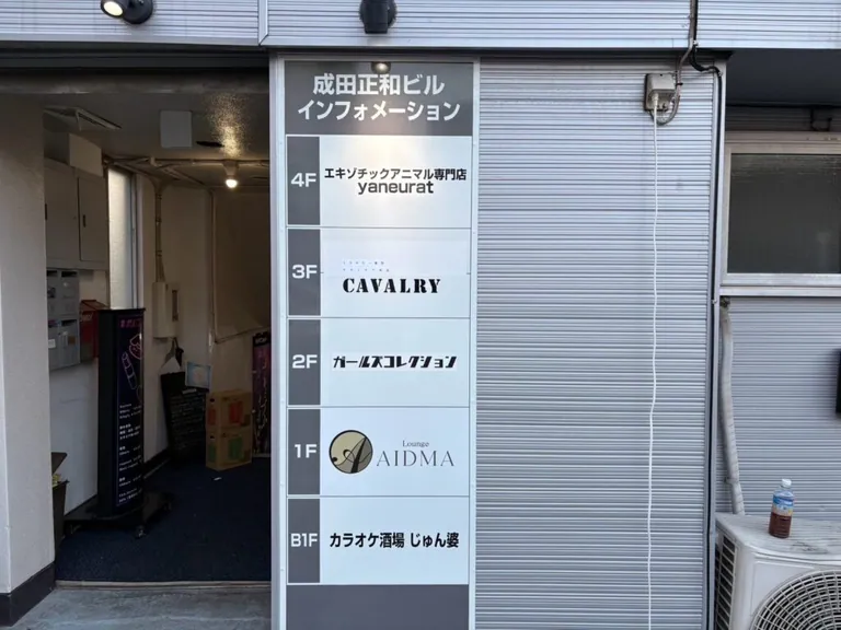 アイドマの店内