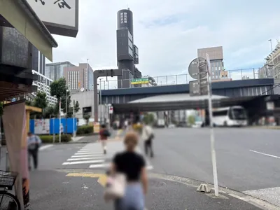 香坂 （コウサカ）への道順 5／9：横断歩道を渡り、高架下を進みます。