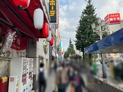 杏への道順 5／10：横断歩道を渡ったら右折します。