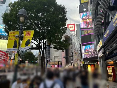 シーサイドへの道順 4／9：右手の一つ目の路地を越えて直進を続けます。