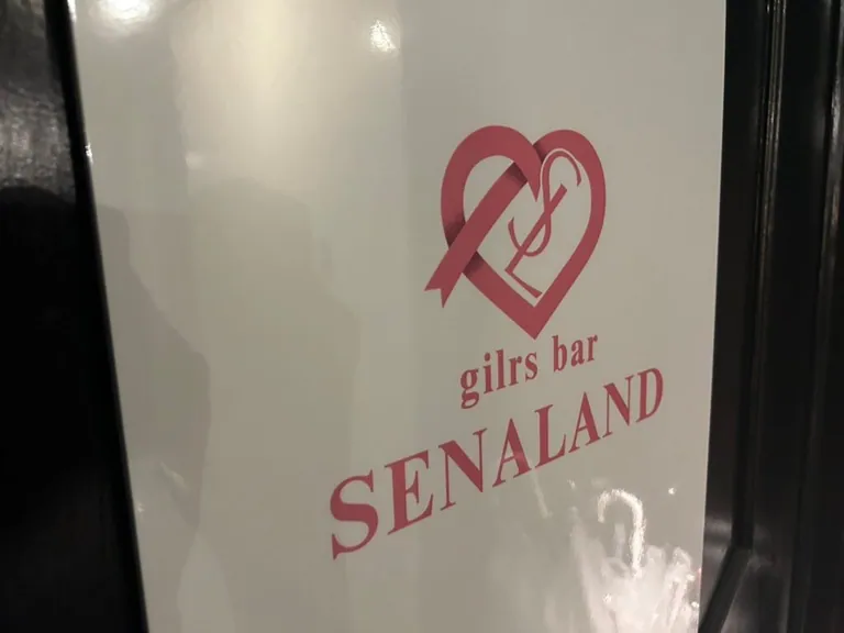 セナランドの店内