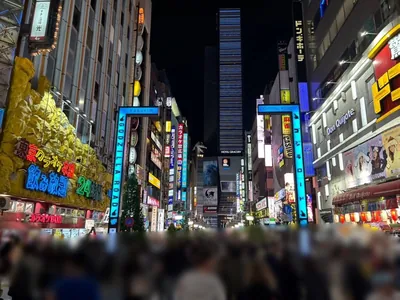 ネロへの道順 6／10：横断歩道を渡ったら突き当たるまで直進します。