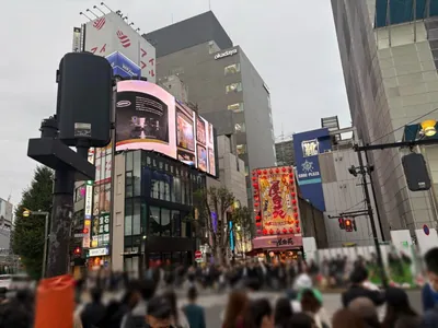 アオイへの道順 3／10：正面の横断歩道を渡って路地に入ります。