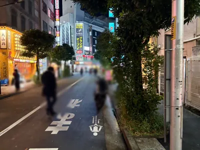 ヴィヴィへの道順 8／12：直進します。