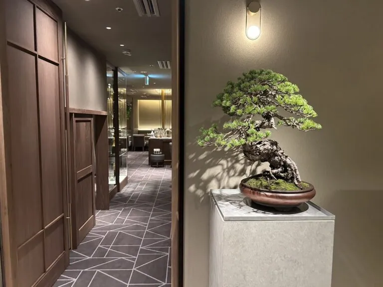 七凪 （ナギ）の店内