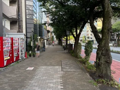 ヴァレラへの道順 7／8：歩道橋を渡ったら直進します。