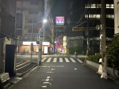 蓮 （レン）への道順 8／10：二つ目の十字路も超えて直進します。