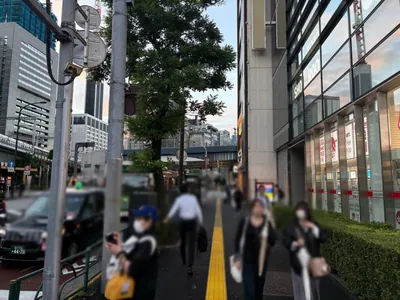 ピースへの道順 2／9：道路を左手に直進します。