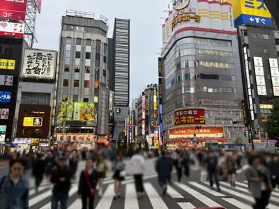 アオイへの道順 4／10：直進すると「歌舞伎町」の交差点に出るので横断歩道の正面を渡ります。