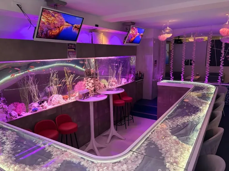 モアナ （Bar＆Lounge MOANA）の店内
