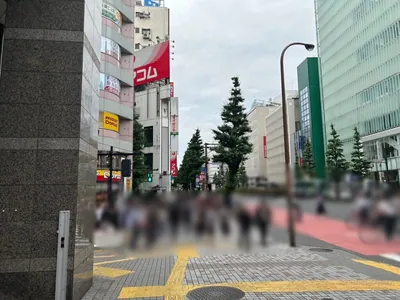 ヴェルージュへの道順 8／12：「新宿区役所」の交差点に出たら横断歩道を正面に渡ります。
