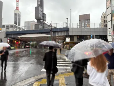 ナデシコへの道順 3／7：一つ目の横断歩道を渡ります。