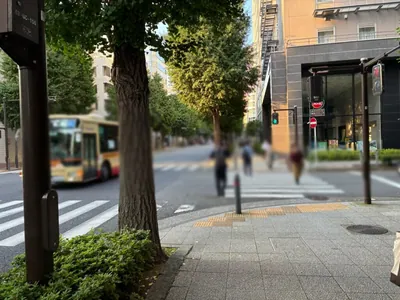 華鈴灯 （かりんとう）への道順 10／15：常盤町三丁目の交差点から二つ目の路地も越えて直進します。