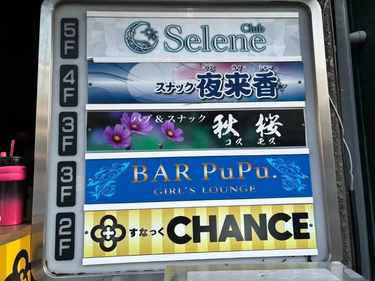 セレネの店内