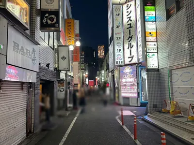 リオへの道順 10／12：三つ目のＴ字路も超えて直進します。