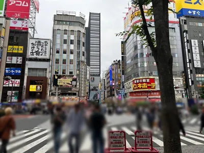 華灯 （ハナビ）への道順 4／11：直進すると「歌舞伎町」の交差点に出るので横断歩道を正面に渡ります。