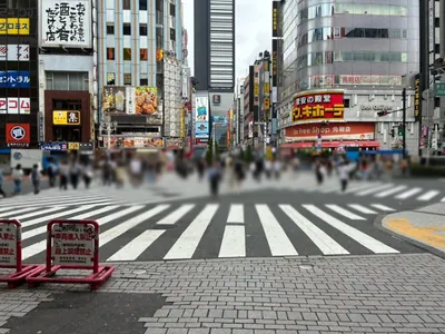 スイ （粋/SUI）昼への道順 4／12：直進すると「歌舞伎町」の交差点に出るので横断歩道を正面に渡ります。