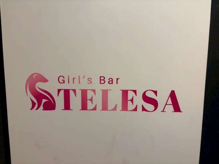 テレサ　（Girl’s Bar TELESA）の店内