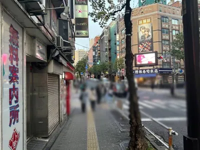 ロイヤルメルトへの道順 9／12：「新宿区役所通り(風林会館)」の交差点を渡って更に直進します。