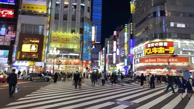 セントラルガーデンへの道順 3／5：直進すると「歌舞伎町」の交差点に出るので横断歩道を正面に渡ります。