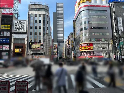サラへの道順 4／12：直進すると「歌舞伎町」の交差点に出るので横断歩道を正面に渡ります。