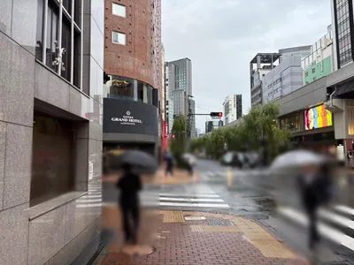 ロイヤルガーデンへの道順 7／10：「難波橋」の交差点に出たら横断歩道を渡ります。