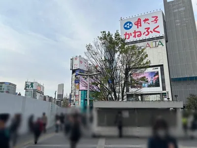ノーブルへの道順 2／11：駅を背中に正面歩きます。