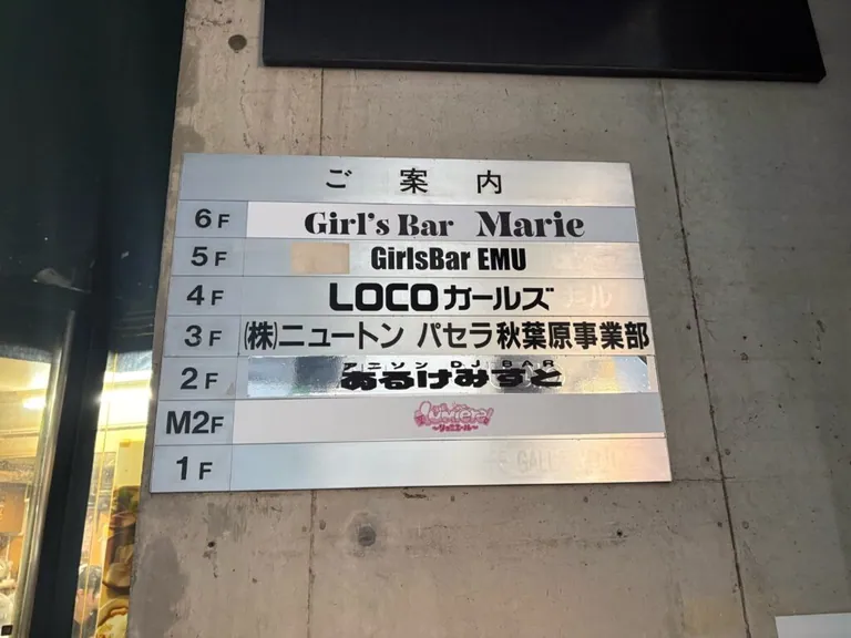 秋葉原　あんりみてっどの店内