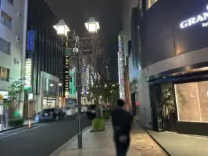 ルジャルダン2 （Le jardinⅡ）への道順 7／8：左折したら直進します。