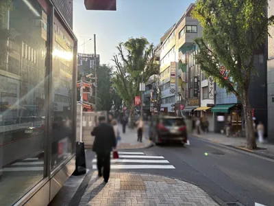 庭園への道順 9／12：左手三つ目の路地も超えて直進を続けます。
